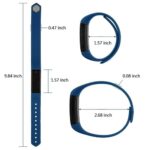 358e56c56cc054e448a2fa2cad64712d5jpg Aurezaus